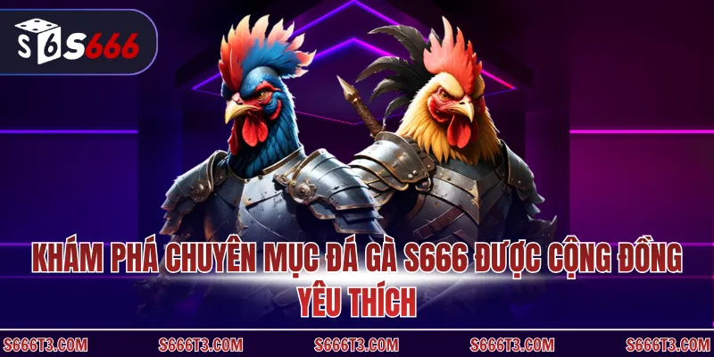 Khám phá chuyên mục đá gà S666 được cộng đồng yêu thích